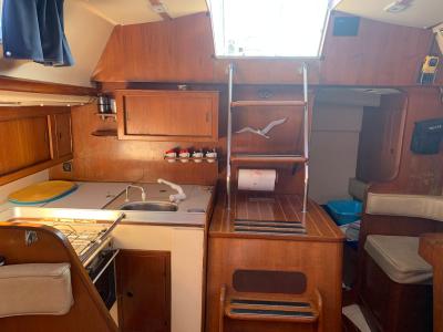 Voilier Camper & Nicholsons Nicholsons 345 1979 exterieur 42